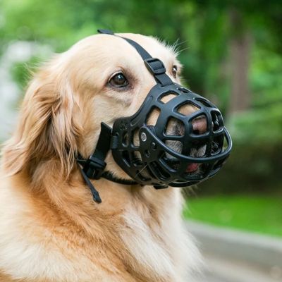 Chien assis calmement au parc avec sa muselière anti morsure, accessoire essentiel pour les promenades
