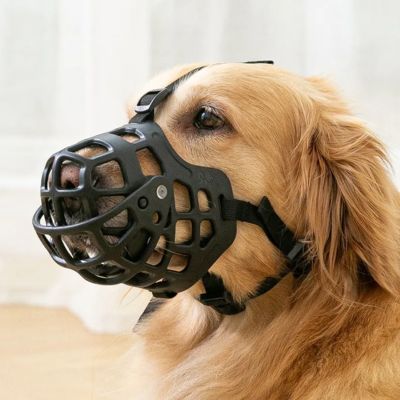 Vue de face d’un chien équipé d’une muselière anti morsure légère et respirante, idéale pour le dressage.