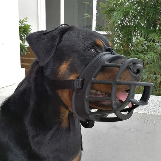 Chien portant une muselière anti-morsure noir solide et confortable, vue frontale