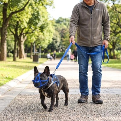 Muselière pour chien​ bleu au parc