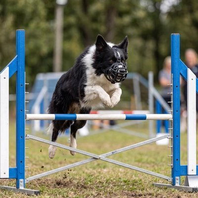 Muselière pour chien​ noir avec chien qui saute
