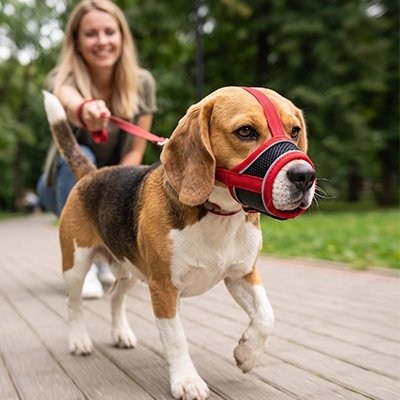 Muselière pour chien​ rouge avec sa maîtresse