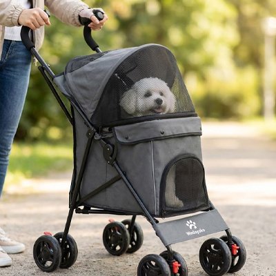Poussette chien sécuritaire
