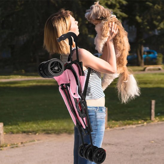 poussette pour Chien complicité