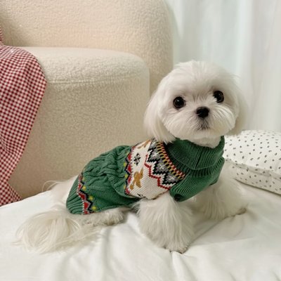 Pull Petit Chien vert sur le lit