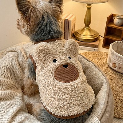 Pull pour Chien beige dans son panier