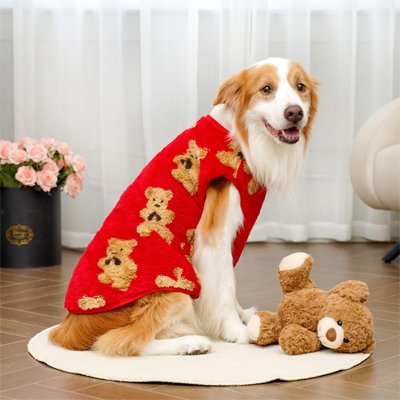 Pull pour Chien rouge dans un salon