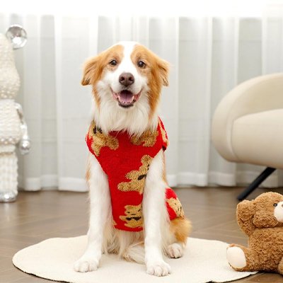 Pull pour Chien rouge