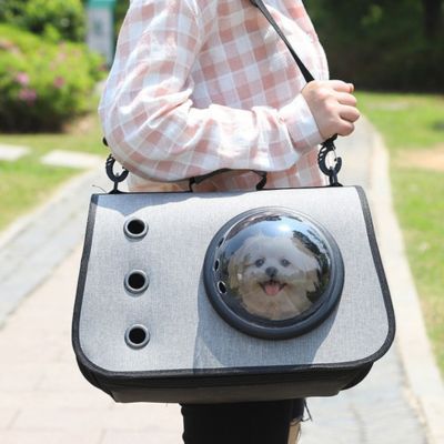 Petit chien regardant à travers le hublot du sac de transport
