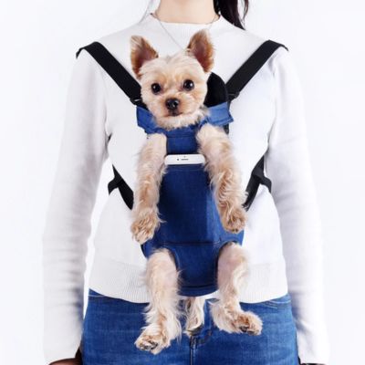 Jeune femme, mains libres, sac de transport sur les épaules, en position devant, avec son chien, profitant d'une vision optimale