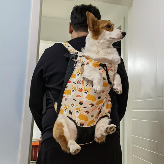 Homme transportant son chien dans un sac de transport sur son dos