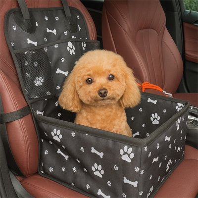 Siege auto chien caniche siège avant