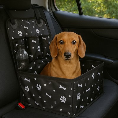Siege auto chien gris sur siège avant