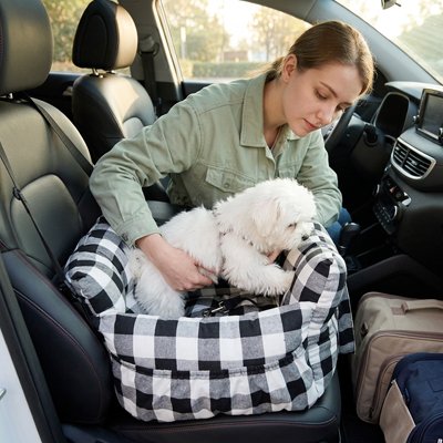 Siege auto pour chien avec caniche blanc en toute sécurité 