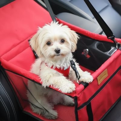 Siege auto pour chien avec motifs