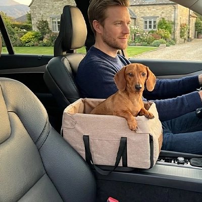 Siege auto pour chien avec teckel en sécurité dans la voiture