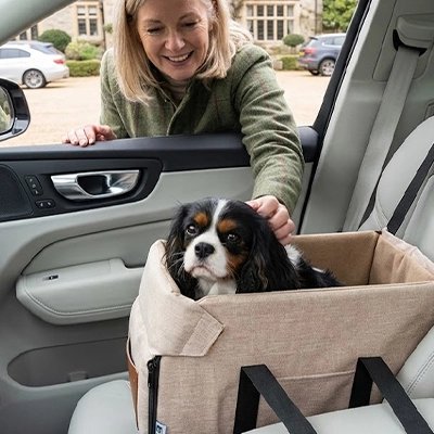 Siege auto pour chien avec un chien confortable
