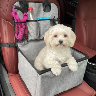 Siege auto pour chien blanc