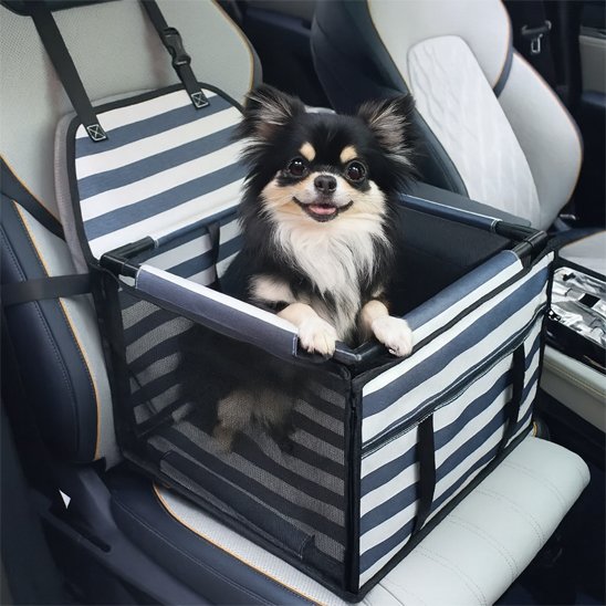Siege auto pour chien bleu et blanc