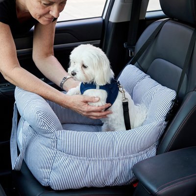 Siege auto pour chien bleu et blanc