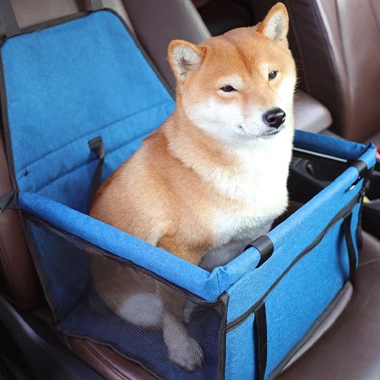 Siege auto pour chien  bleu sur le siège avant