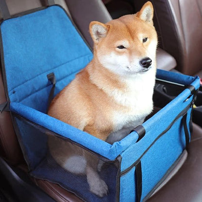 Siege auto pour chien  bleu sur le siège avant