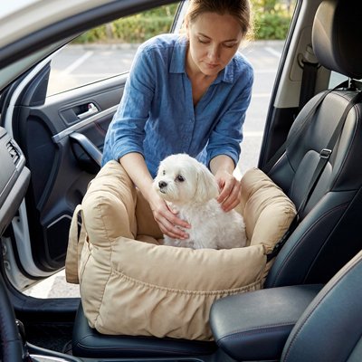 Siege auto pour chien caniche blanc