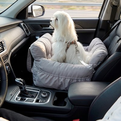 Siege auto pour chien chien côté passager