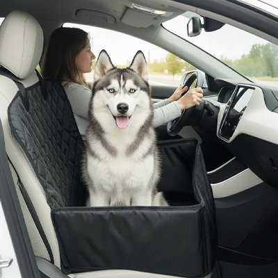Siege auto pour chien conduite sécuritaire
