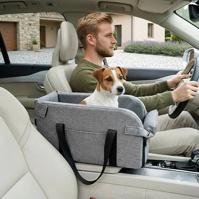 Siege auto pour chien dans la voiture