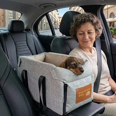 Siege auto pour chien en sécurité