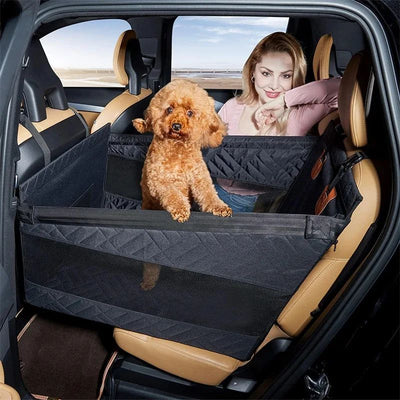 siege auto pour chien femme et chien