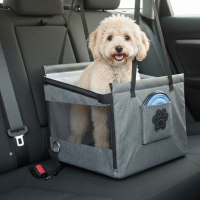 Siege auto pour chien gris avec chien blanc
