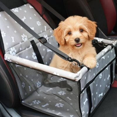 Siege auto pour chien gris avec motifs sur siège avant