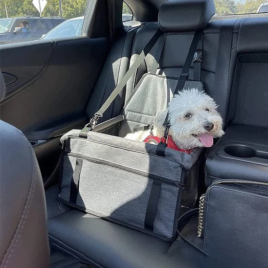 Siege auto pour chien gris sur le siège arrière