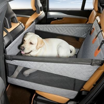 Siege auto pour chien Labrador Retriever blanc assis