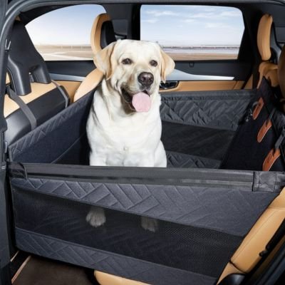 Siege auto pour chien Labrador Retriever blanc de face