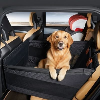 Siege auto pour chien Labrador Retriever brun au siège arrière