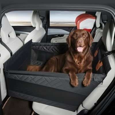 Siege auto pour chien Labrador Retriever brun de face