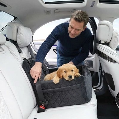 Siege auto pour chien noir avec golden retriever