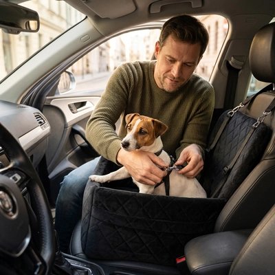 Siege auto pour chien noir chien assis sur le siège avant