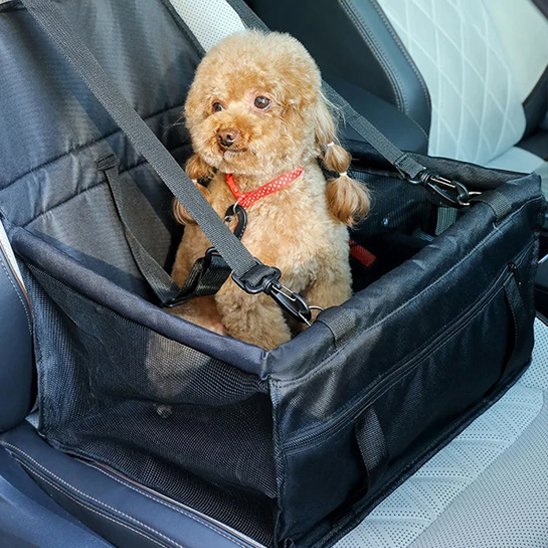 Siege auto pour chien noir et gris sur le siège arrière
