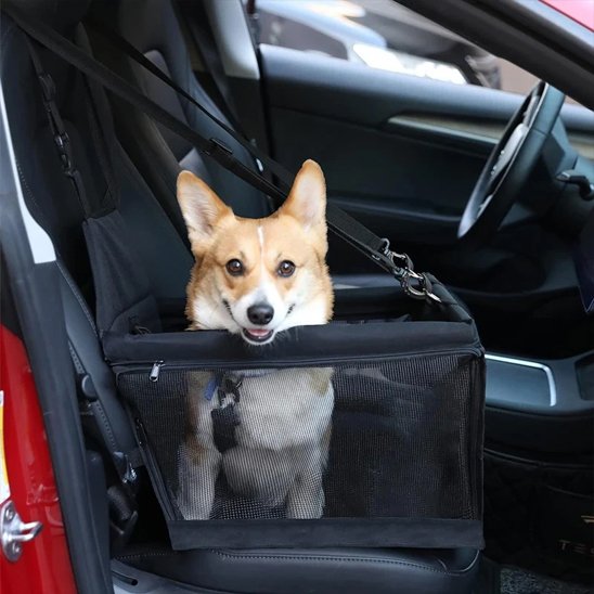 Siege auto pour chien noir et gris sur le siège avant
