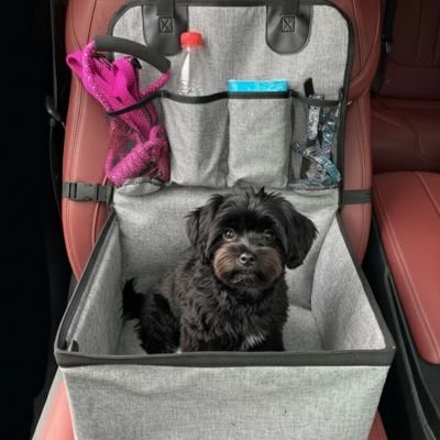 Siege auto pour chien spacieux