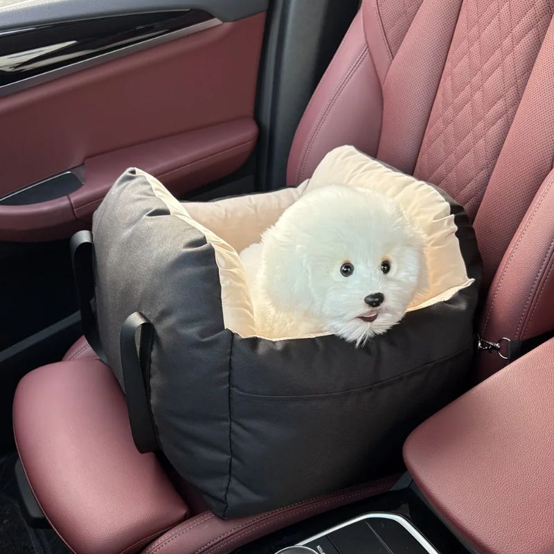 siege auto pour chiens noir sécuritaire