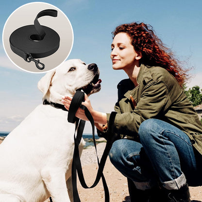 une-laisse-pour-chien-labrador-retriever