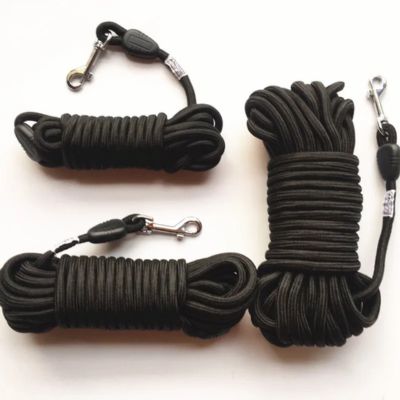 une-laisse-pour-chien-noir